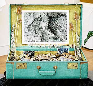 Donna's photographic suitcase