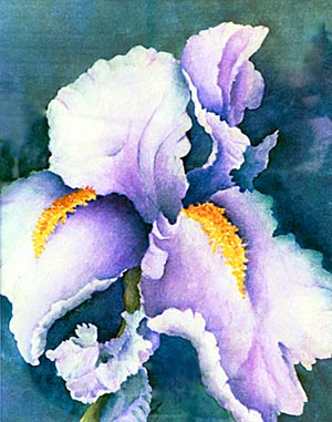 Iris Shadows